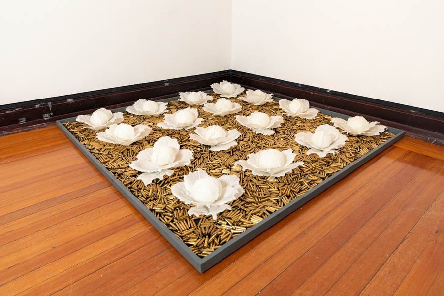 White cabbages on a bed of spent rifle shells, all held within a grey frame.
